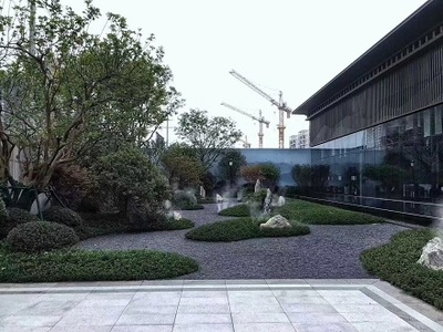绿化覆盖散铺小黑石子/园林设计黑色砾石/园林铺路黑石子