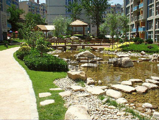 园林设计与植物种籽产品库的重要性