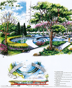 园林设计中的植物配置艺术