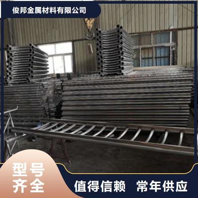 景区拉索护栏免费设计 提升园林景观与安全性的创新方案