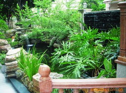 孔世胡 园林设计中的东方哲思与自然韵律