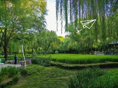 稻田与荷塘相映成趣，昆玉河畔的‘小江南’园林设计美不胜收