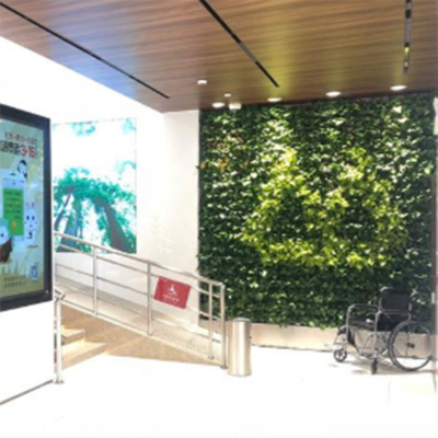 箐禾园林 自然与人文交融的匠心之作